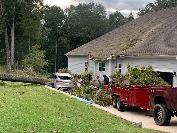 Emergency tree cleanup