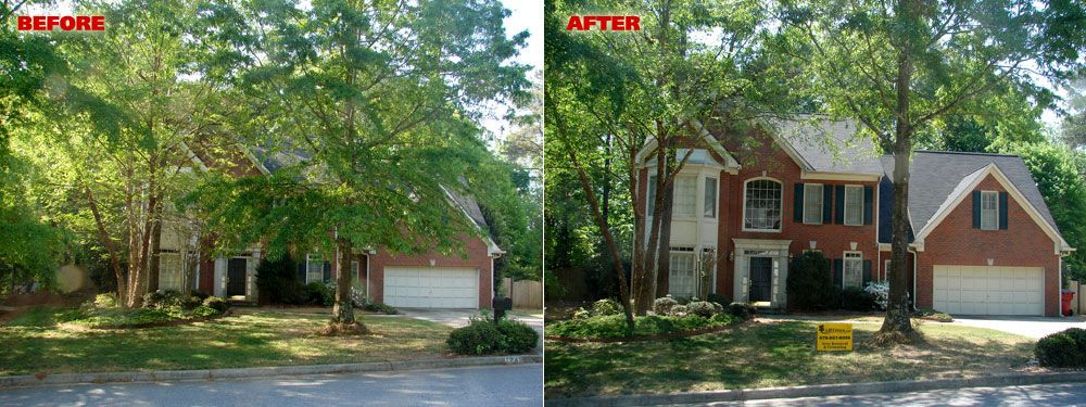 Before and after tree trimming